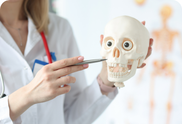 Anatomia